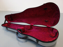 Standardní model pro violu Standardní model pro violu