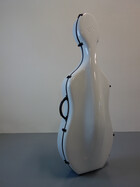 Xlight model Xlight model