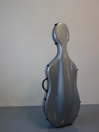 Xlight model Xlight model